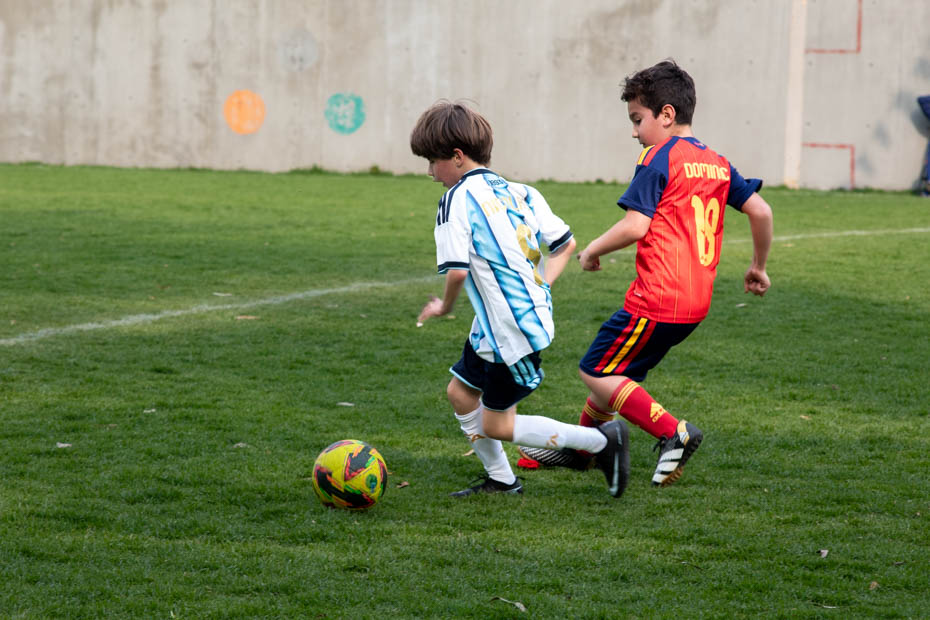 Ir a la Siguiente Foto