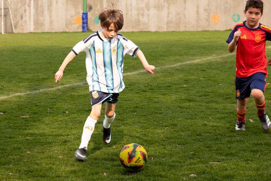 Ir a la Siguiente Foto