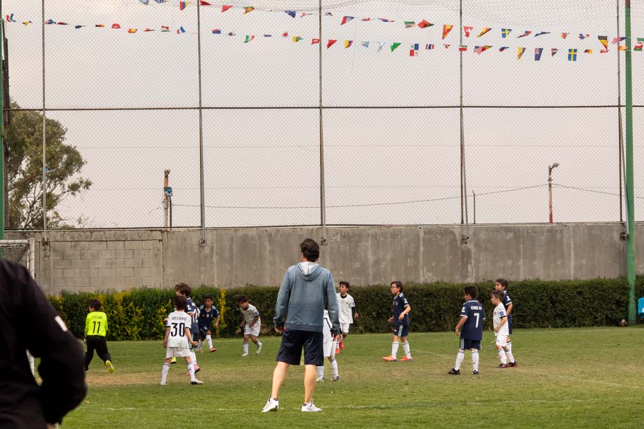 Ir a la Siguiente Foto