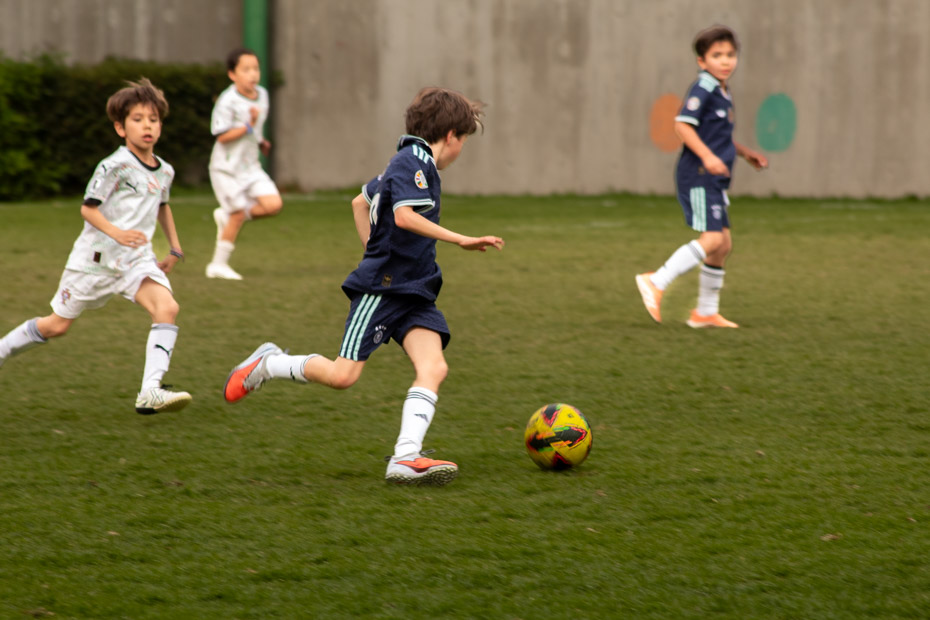 Ir a la Siguiente Foto