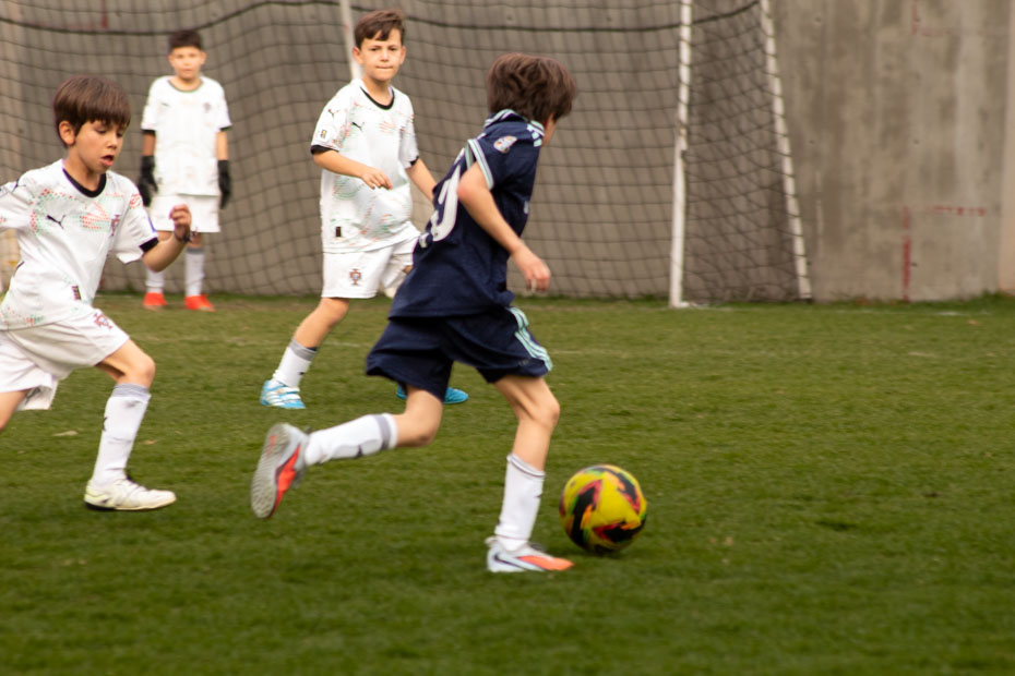 Ir a la Siguiente Foto