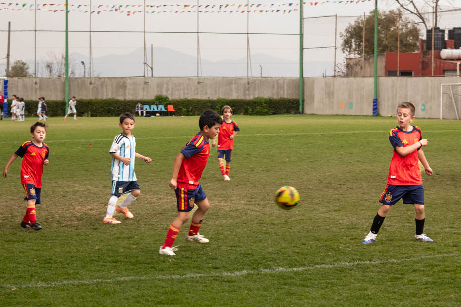 Ir a la Siguiente Foto