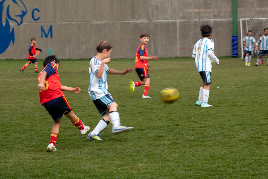 Ir a la Siguiente Foto