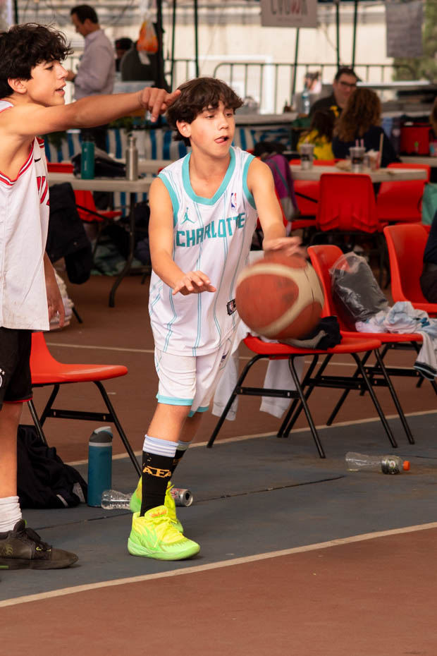 Ir a la Siguiente Foto