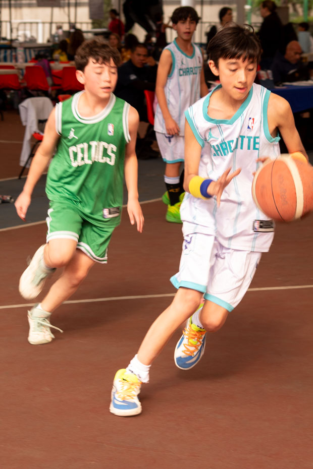 Ir a la Siguiente Foto