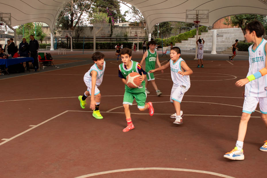 Ir a la Siguiente Foto