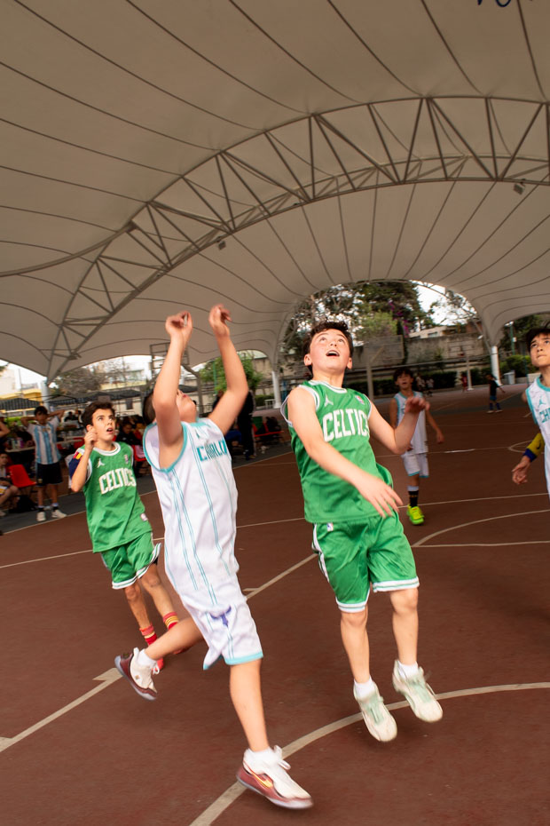 Ir a la Siguiente Foto