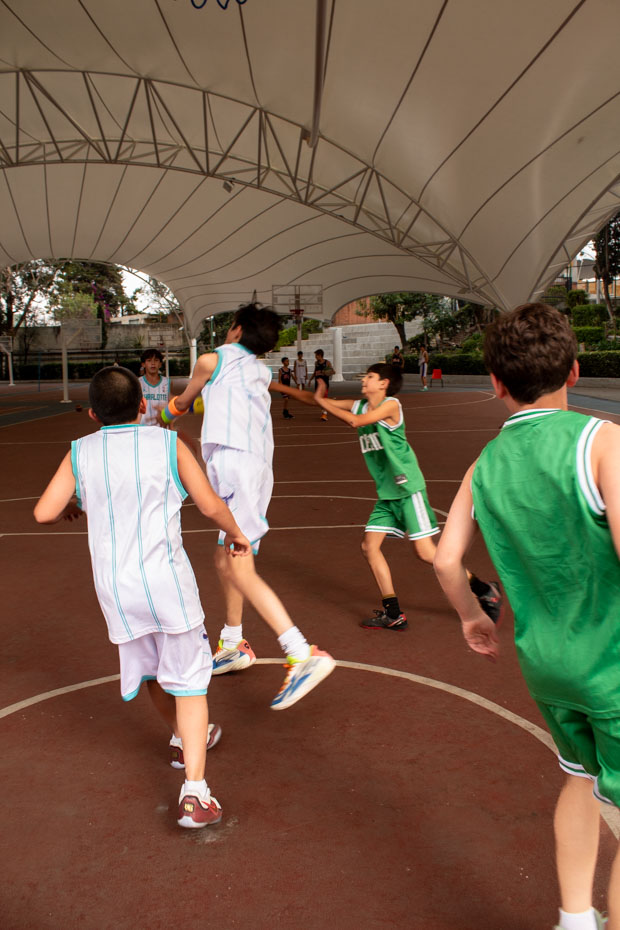 Ir a la Siguiente Foto