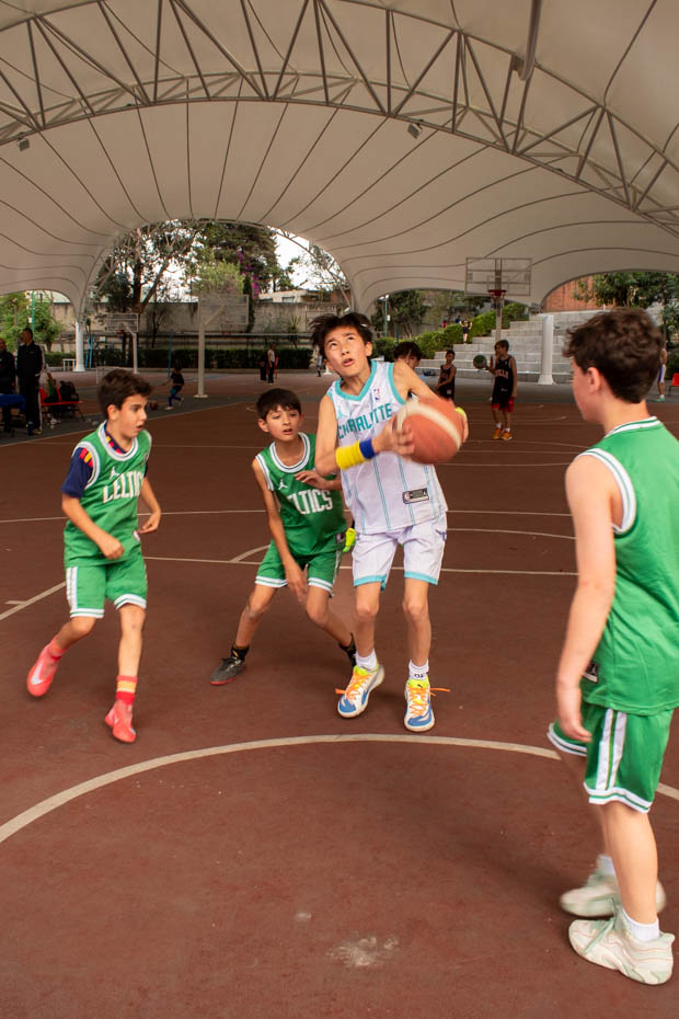 Ir a la Siguiente Foto