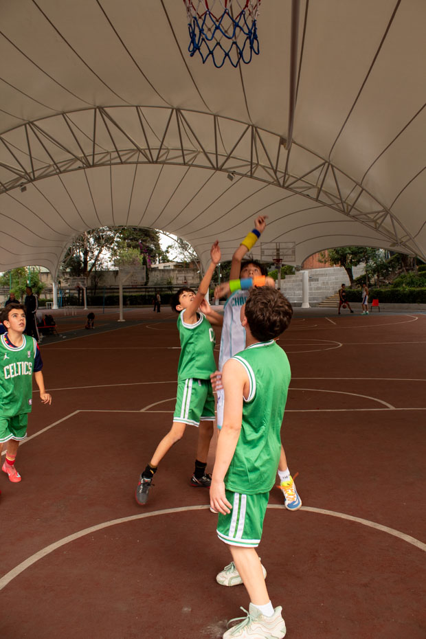 Ir a la Siguiente Foto