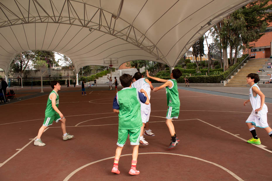 Ir a la Siguiente Foto