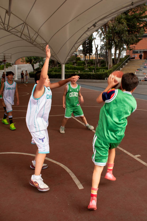 Ir a la Siguiente Foto