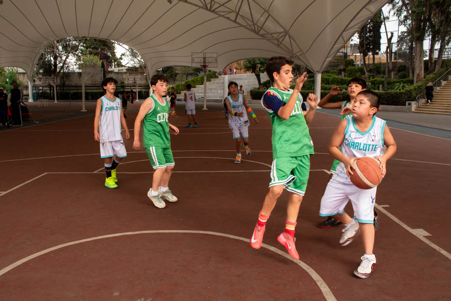 Ir a la Siguiente Foto