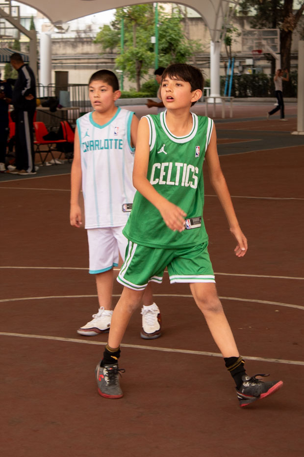 Ir a la Siguiente Foto