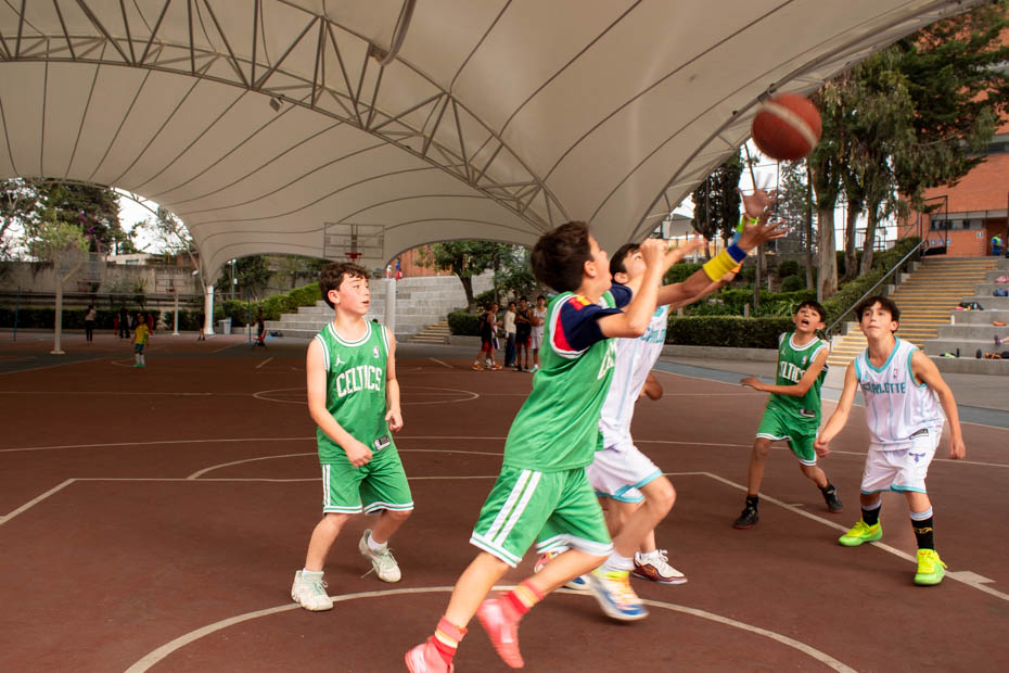 Ir a la Siguiente Foto