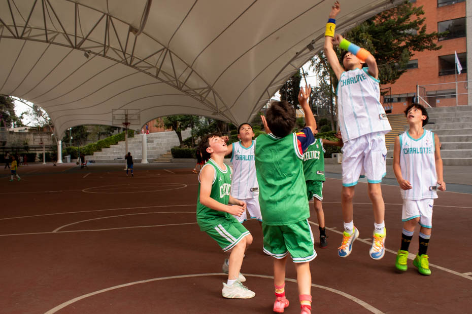 Ir a la Siguiente Foto