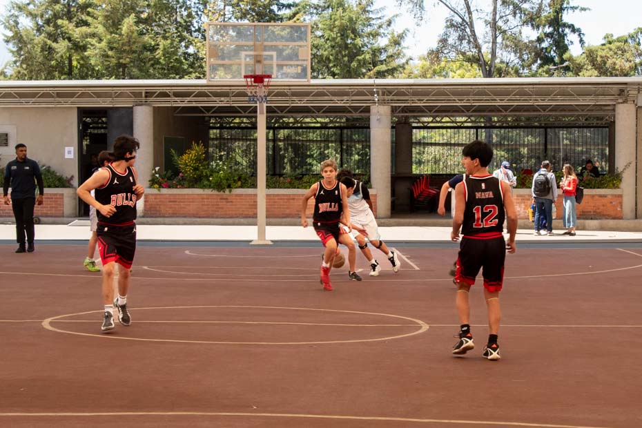 Ir a la Siguiente Foto