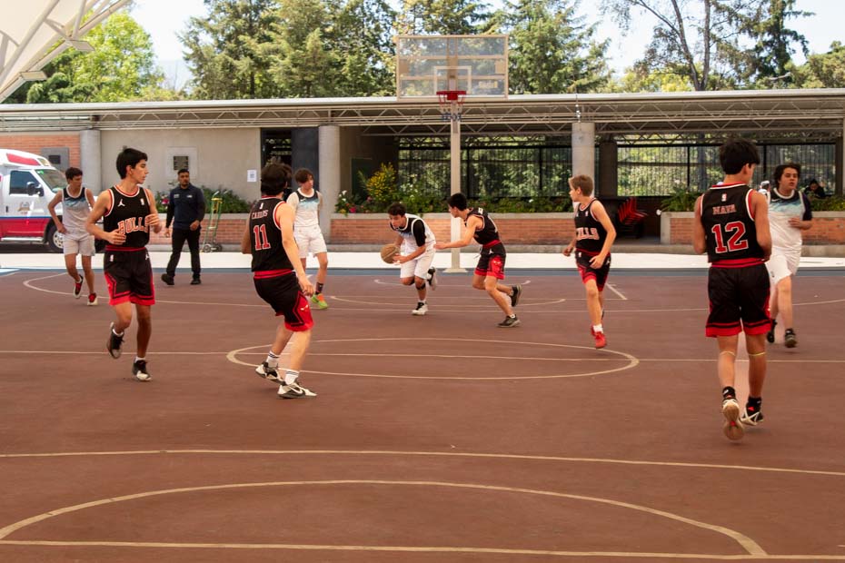 Ir a la Siguiente Foto