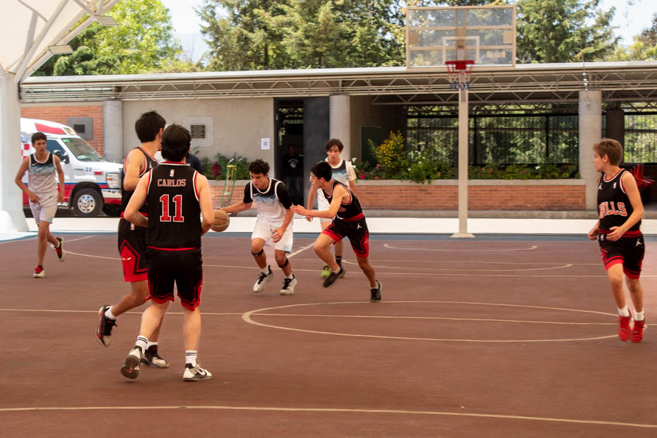 Ir a la Siguiente Foto