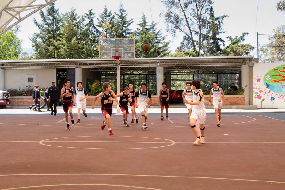 Ir a la Siguiente Foto