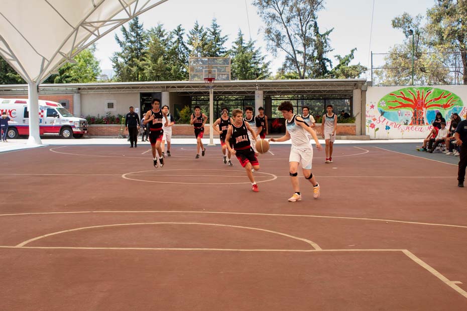 Ir a la Siguiente Foto