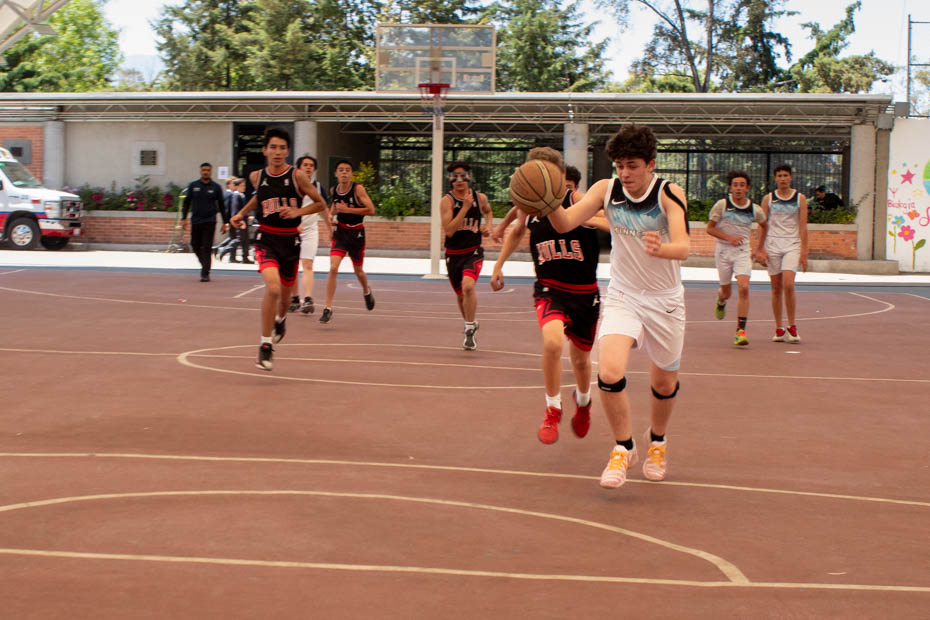 Ir a la Siguiente Foto