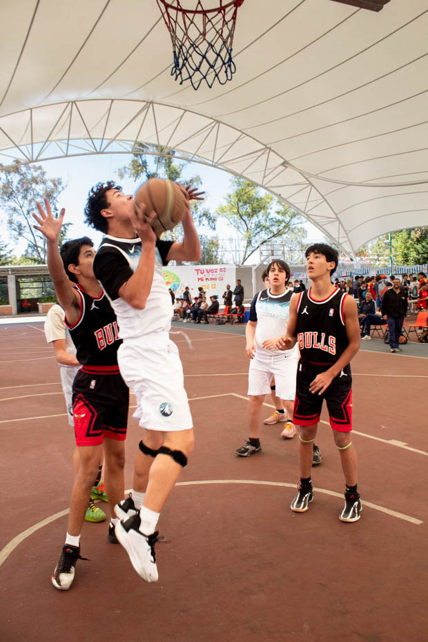 Ir a la Siguiente Foto