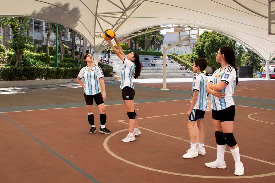 Ir a la Siguiente Foto