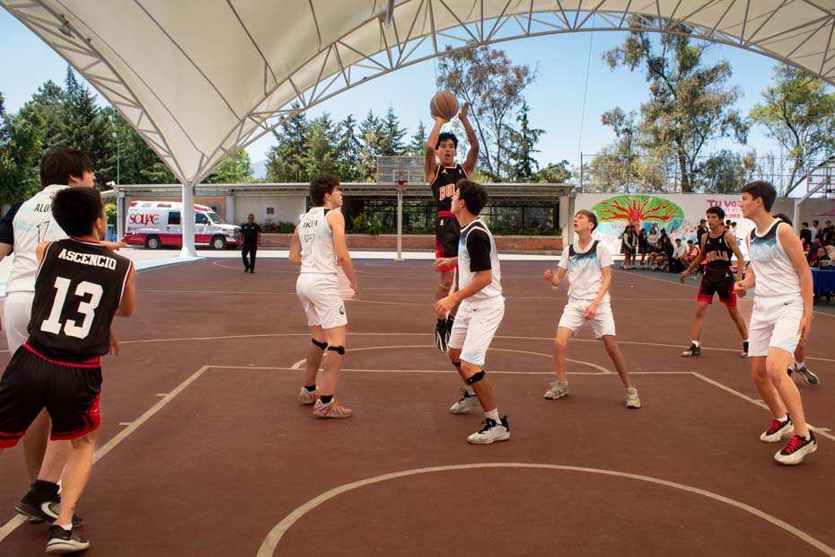 Ir a la Siguiente Foto