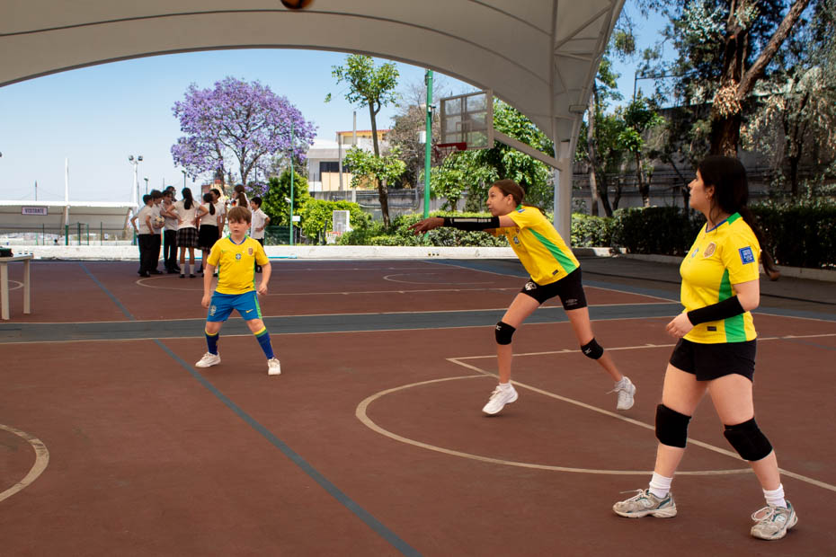 Ir a la Siguiente Foto