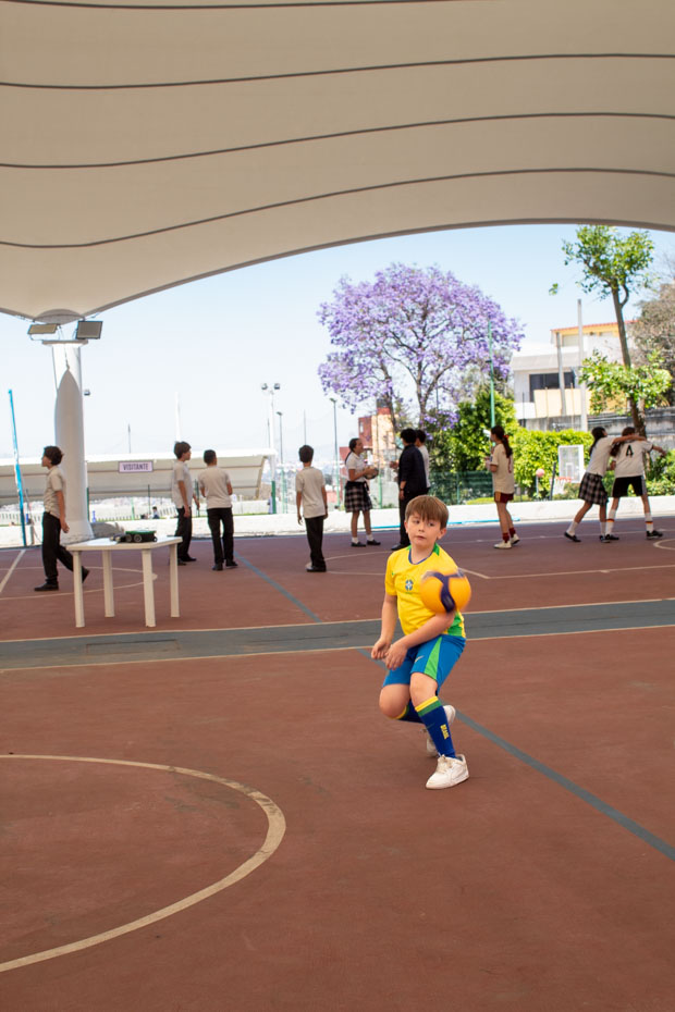 Ir a la Siguiente Foto