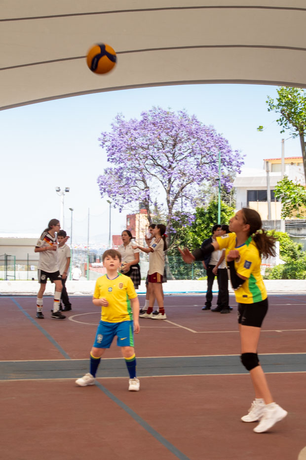 Ir a la Siguiente Foto