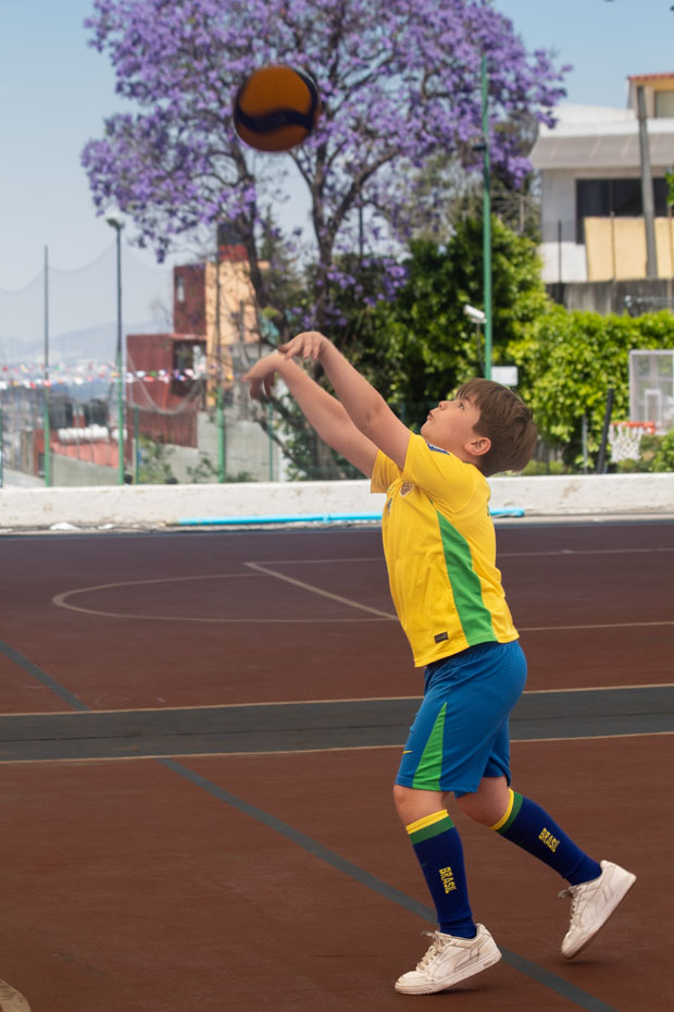 Ir a la Siguiente Foto