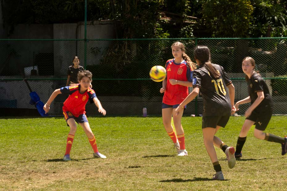 Ir a la Siguiente Foto