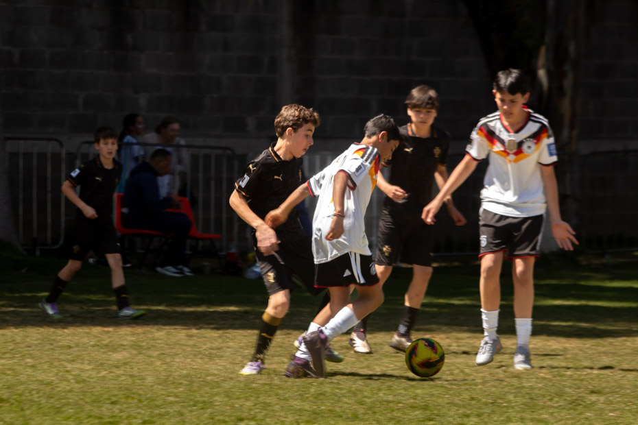 Ir a la Siguiente Foto