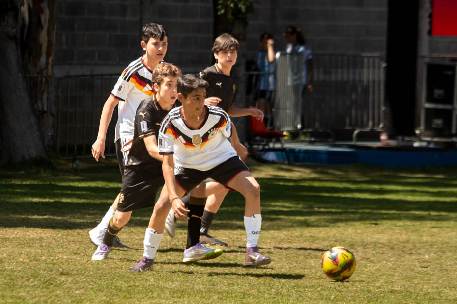 Ir a la Siguiente Foto