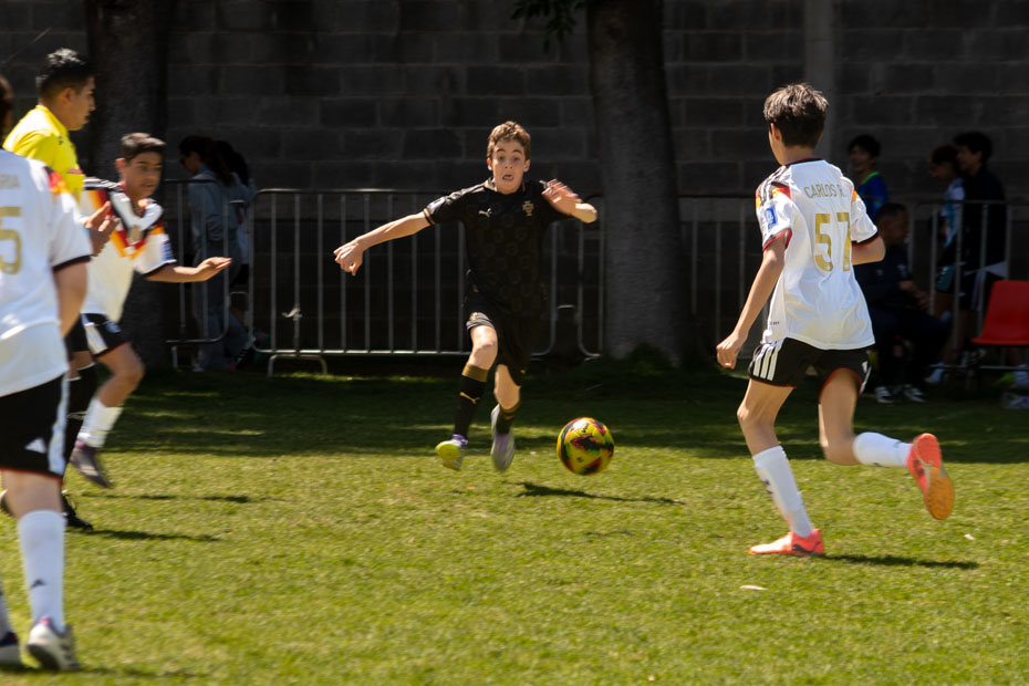 Ir a la Siguiente Foto