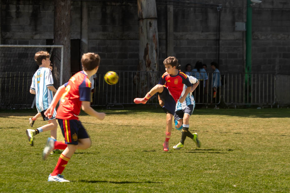 Ir a la Siguiente Foto