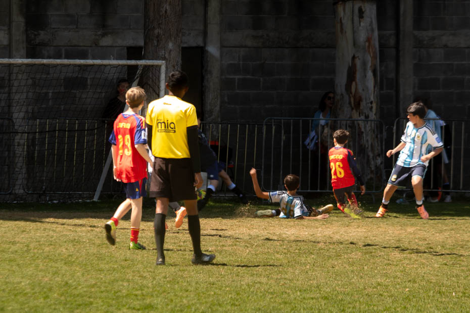 Ir a la Siguiente Foto