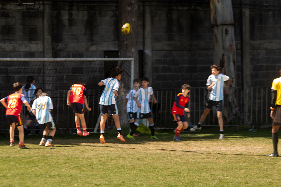 Ir a la Siguiente Foto