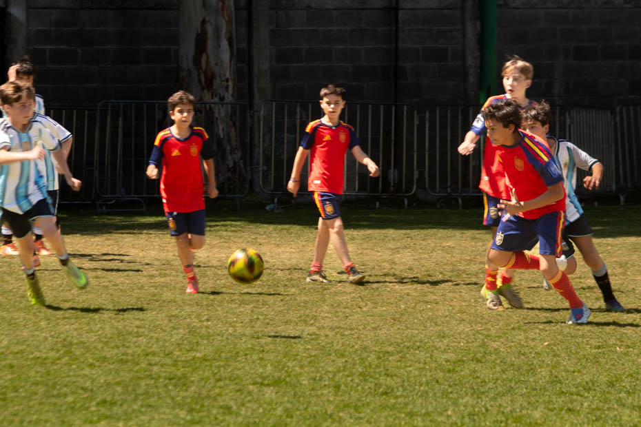 Ir a la Siguiente Foto