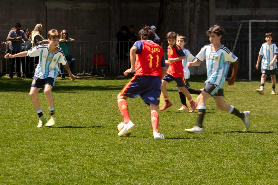 Ir a la Siguiente Foto