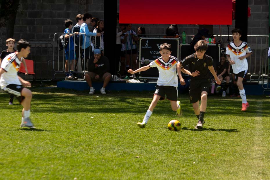 Ir a la Siguiente Foto