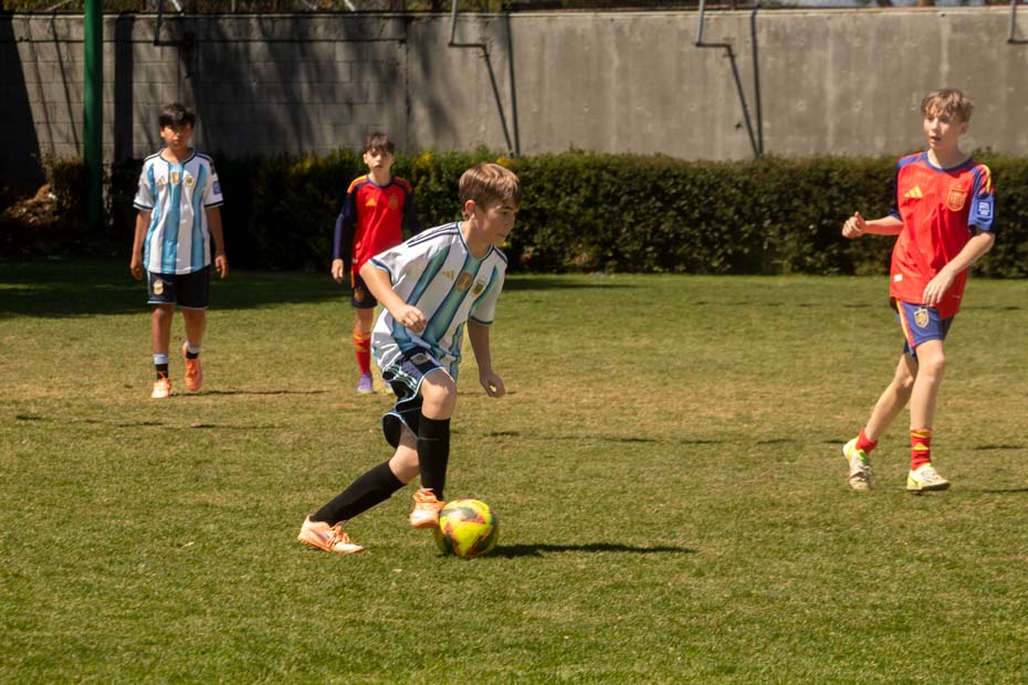 Ir a la Siguiente Foto