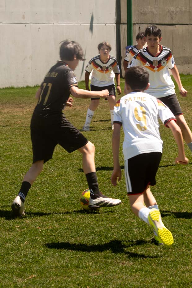 Ir a la Siguiente Foto