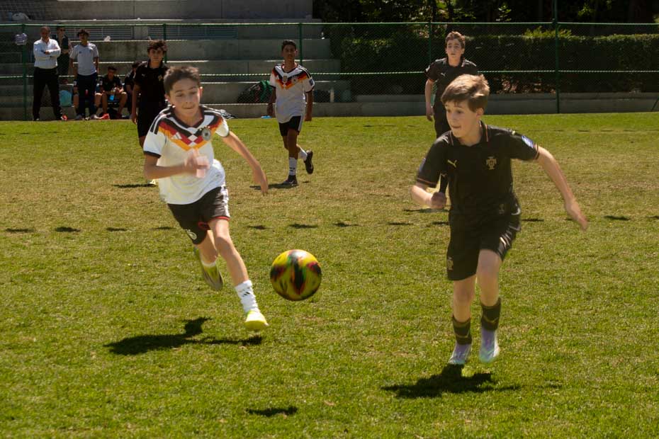 Ir a la Siguiente Foto