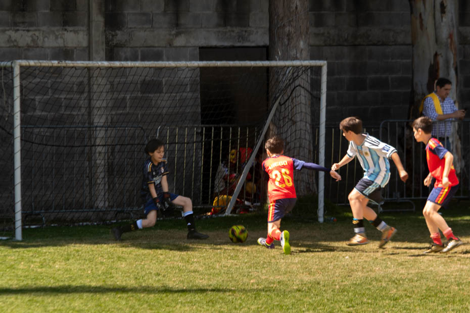 Ir a la Siguiente Foto