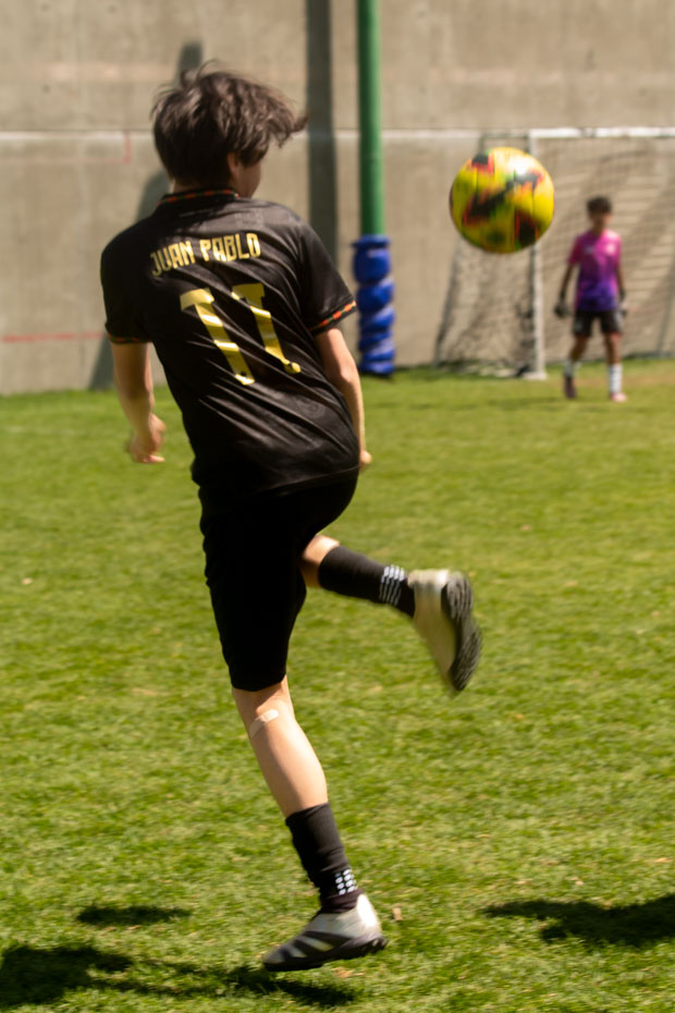 Ir a la Siguiente Foto