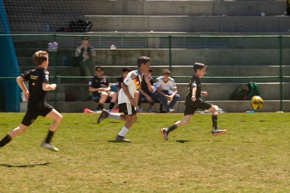 Ir a la Siguiente Foto