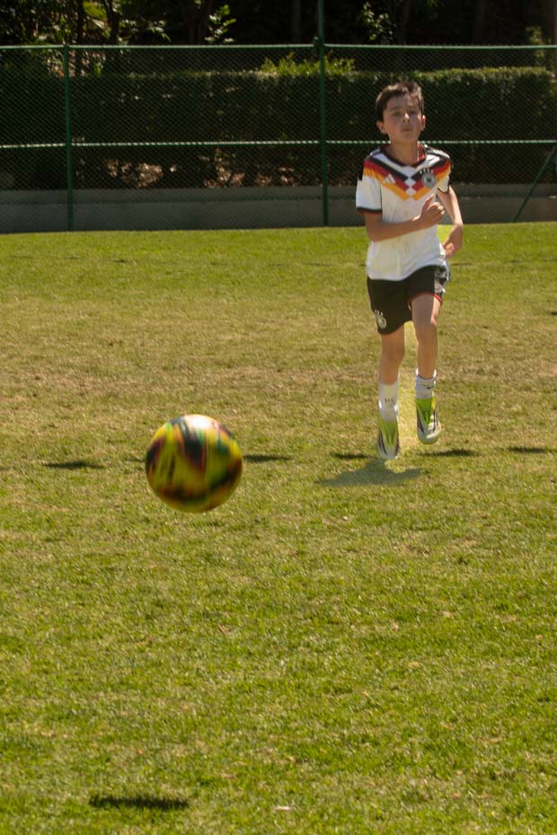 Ir a la Siguiente Foto